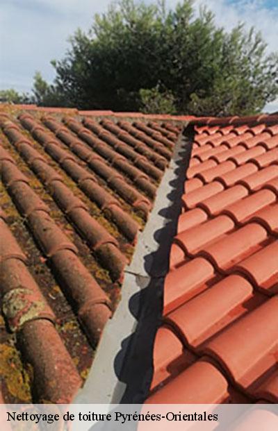 Nettoyage De Toiture 66 Pyrenees Orientales Tel 04 82 29 55 67
